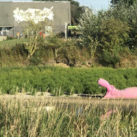 Le bois Leurent, source de biodiversité à Roncq