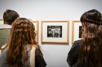 Visite commentée de l'exposition photosensible à Le Cateau-Cambrésis