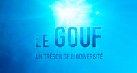 Diffusion du film documentaire "Le Gouf, un trésor de biodiversité" à Anglet