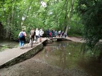 La Mue vous conte ses secrets à Thaon