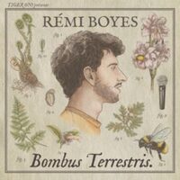 RÉMI BOYES - BOMBUS TERRESTRIS à Arles