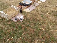 Atelier parents/enfants « Sortir en nature sauvage proche de chez soi » à Bitche