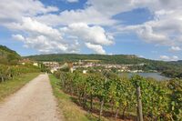 Parcours ludique "La quête viticole de Paul" à Sierck-les-Bains