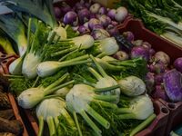 Inscription à la saison printemps-été de l'AMAP des Bois à Genillé