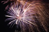 Fête nationale à Bonny-sur-Loire : défilé, retraite aux flambeaux, bal et feu d' à Bonny-sur-Loire