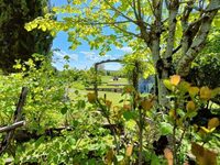 Visite libre du jardin romain à Saint-Marcel