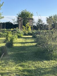Visite Hortus Mandala à Aiffres