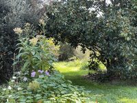 Visite du parc du Chant du Buc, refuge LPO, avec Evelyne Haber, présidente LPO T à Marssac-sur-Tarn
