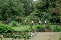 Expo photo dans le jardin à Issoudun