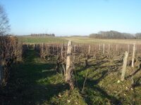 Marché du CIVAM – Ferme du Héron - Domaine des Maisonnettes à Villeneuve-d'Ascq