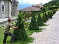Regards de jardinier. Atelier de taille des végétaux à Le Touvet