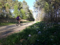 RANDO VELO DECOUVERTE à Saint-Gaudens