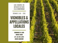 Cours de dégustation : vignobles et appellations locales à Sancerre