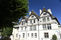 Le monde animalier au musée-hôtel Le Vergeur - Maison Hugues Krafft. à Reims