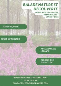 A la découverte des plantes sauvages, médicinales et comestibles avec Francine à Pontonx-sur-l'Adour