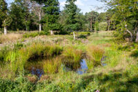 Planète Mare à Lille