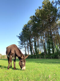 Visite d'Ane Apurna à Saugnac-et-Cambran