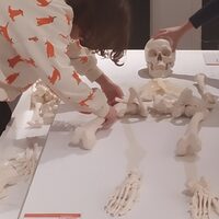 Atelier d'anthropologie funéraire à Coucy-le-Château-Auffrique