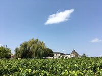 Château La Brande - "Un dimanche au Château en Fronsadais-Libournais" à Saillans