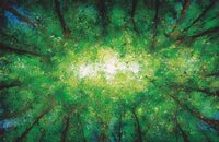 Domaine de Sédières : Naissances des grands mammifères à Clergoux