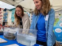 Village des Sciences à Hendaye