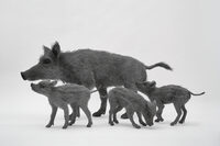 Domaine de Sédières : Exposition : Nature à Clergoux
