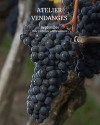 Atelier Vendanges au Château Haut Chaigneau à Néac