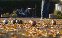 Concours de pétanque à Saint-Junien