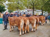 Comice agricole à Saint-Germain-les-Belles