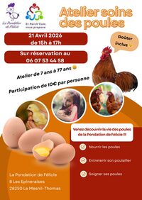 Ateliers soins des poules à Le Mesnil-Thomas