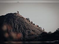 Rock n’Trail à Muneville-le-Bingard