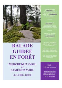 Balade guidée en forêt à Pontarlier