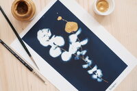 Atelier cyanotype à Chambéry