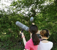 Audio-naturaliste en herbe à Bruère-Allichamps