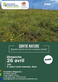 Balade nature sur les coteaux d'Ayen à Ayen