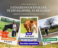 Cycle Cheval de Feu : Confiance en soi, Oser, S'affirmer à Saint-Pierre-d'Eyraud