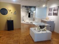 Visite flash à Oyonnax