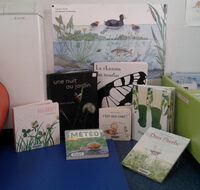 Heure des Petites Oreilles à Villemur-sur-Tarn