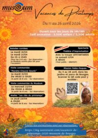 Visite commentée du Muséum d'histoire naturelle à Bourges