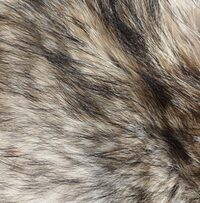 Visites commentées de l'exposition L'aiguille et la peau à Saint-Marcel