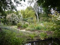 Visite accompagnée du jardin du Revers à Notre-Dame-de-Cenilly