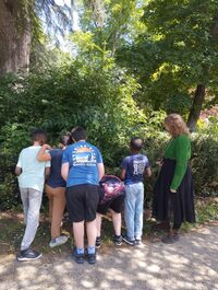 Atelier d’observation « Le jardin des Arènes à la loupe » à Périgueux