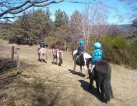 STAGE EQUESTRE : INITIATION DECOUVERTE à Saint-André-de-Lancize