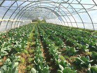 Visites guidées des jardins de Cocagne à Chalezeule