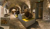 Visite gratuite de Castanea -Espace découverte de la châtaigne d'Ardèche à Joyeuse