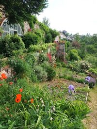 Déambulation parmi 11 jardins-terrasses d'Avallon à Avallon