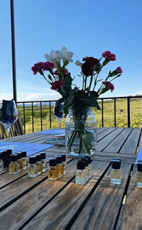 Ateliers oenosensoriels à Mazan