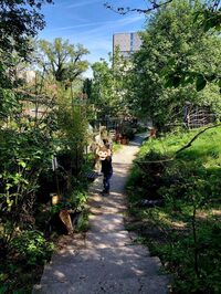 Découverte des plantes sauvages au jardin de la Gare eXPérimentale à Paris 19e