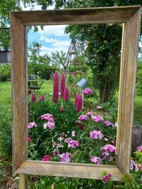 Visite au jardin de Dominique à Laneuville à Laneuville-sur-Meuse
