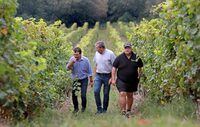 Visite de la Cave des Vignerons de Tursan à Geaune